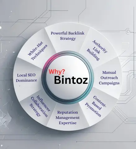 why-off-page-seo-with-bintoz